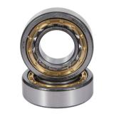 Toyana NUP1038 cylindrical roller bearings